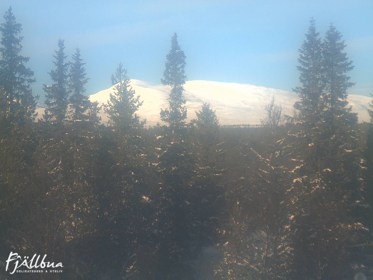 Fjällbua webcam 2025-01-26 12:00