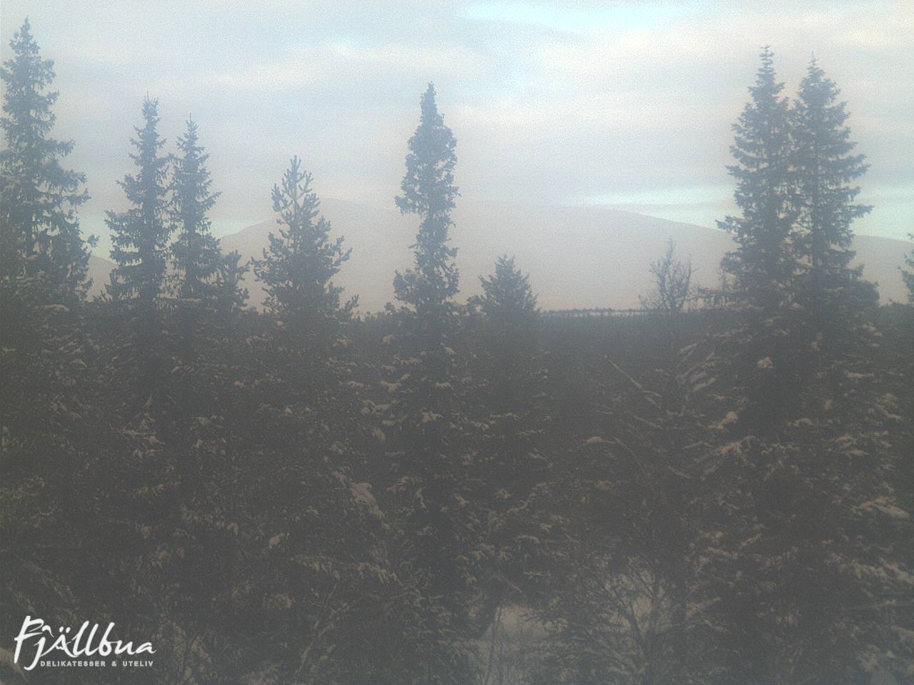 Fjällbua webcam 2025-01-30 13:30