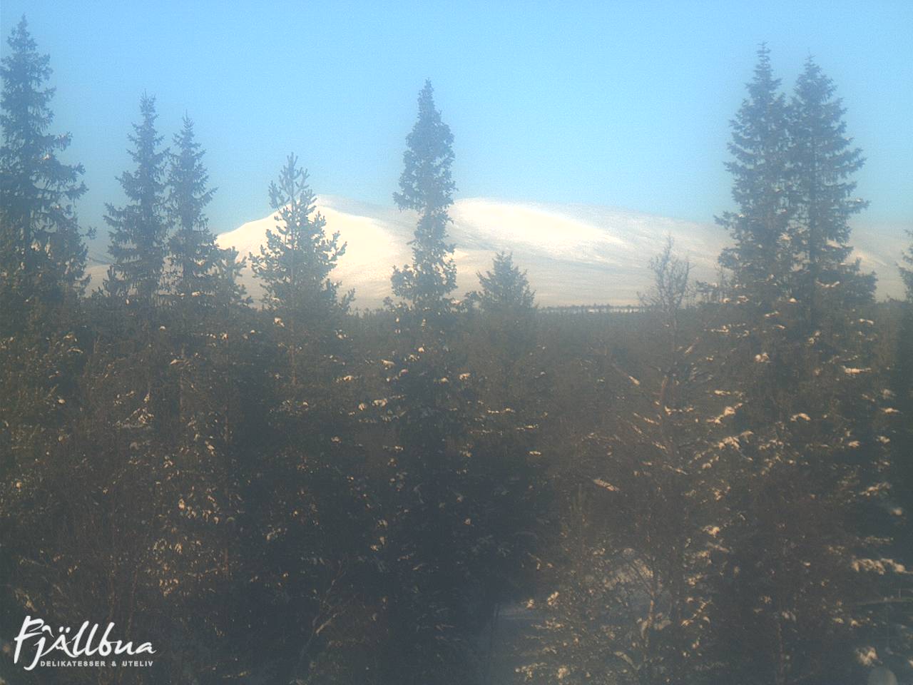 Fjällbua webcam 2025-01-31 12:00