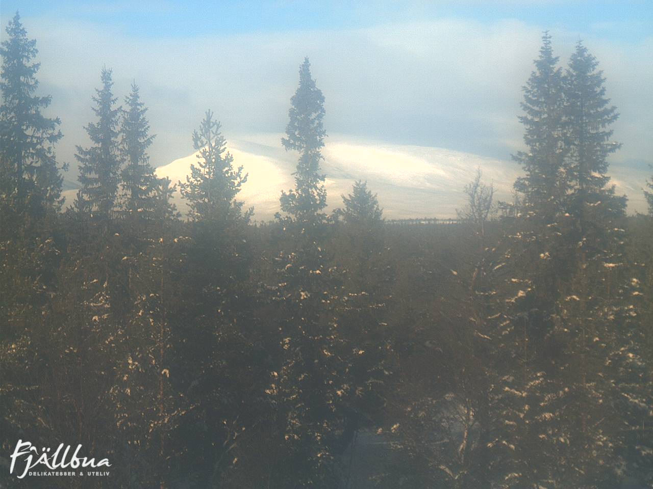 Fjällbua webcam 2025-01-31 12:30