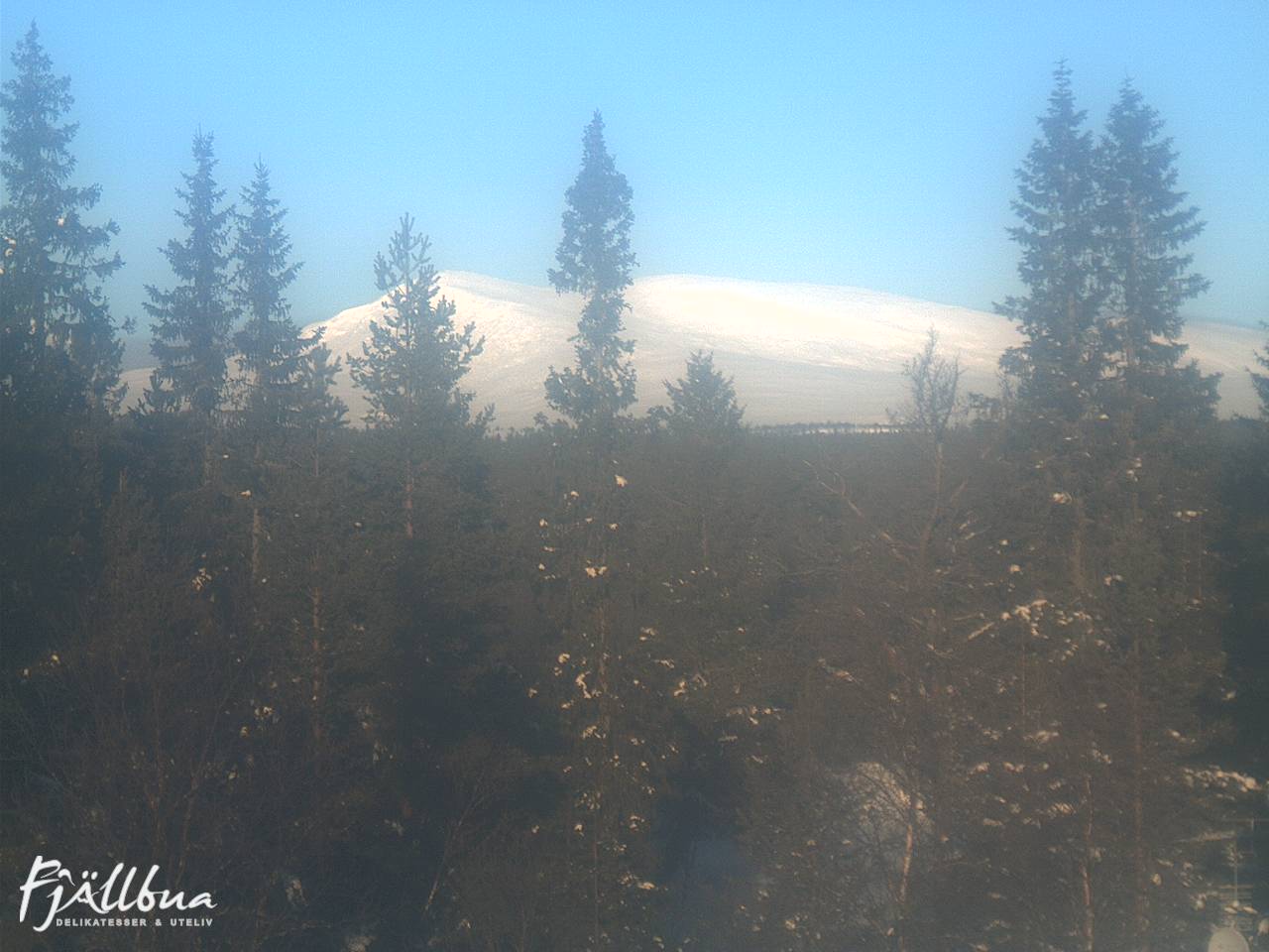 Fjällbua webcam 2025-02-01 10:00