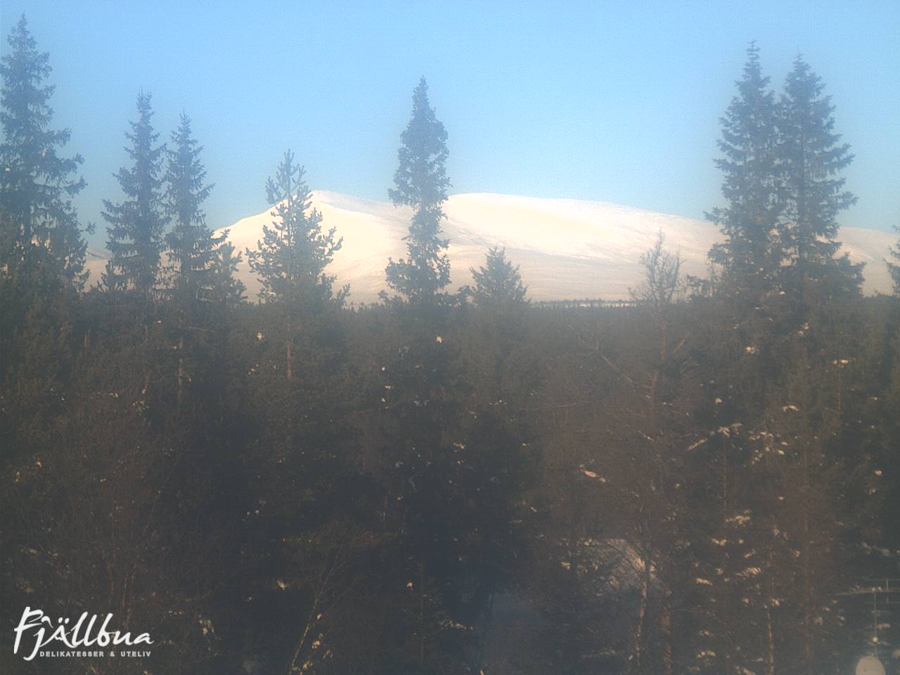 Fjällbua webcam 2025-02-01 11:30