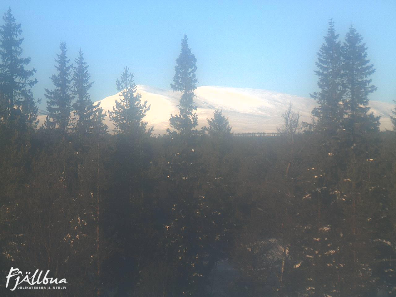 Fjällbua webcam 2025-02-01 12:30