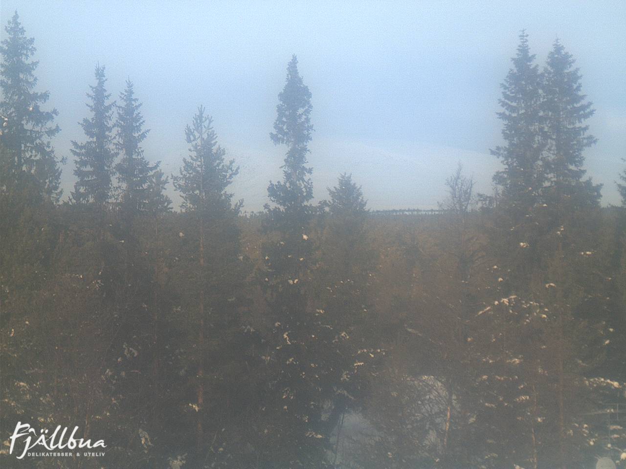 Fjällbua webcam 2025-02-02 11:00