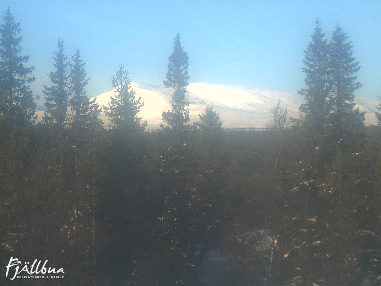 Fjällbua webcam 2025-02-02 12:30