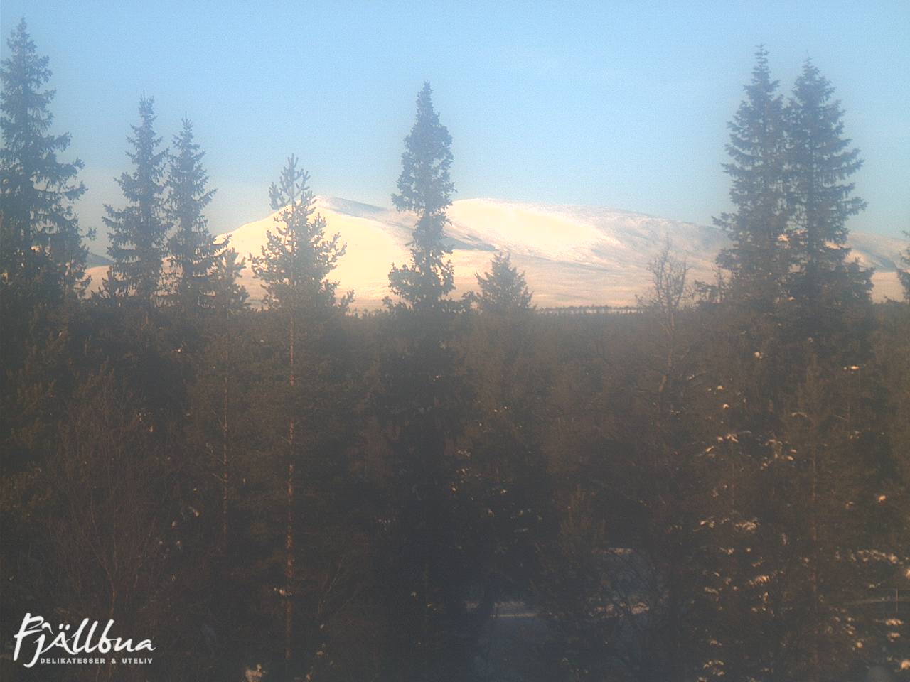 Fjällbua webcam 2025-02-02 13:30