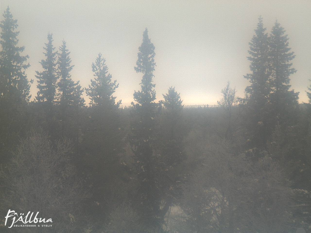 Fjällbua webcam 2025-02-03 13:00