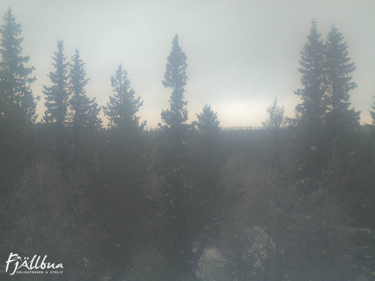 Fjällbua webcam 2025-02-03 14:30