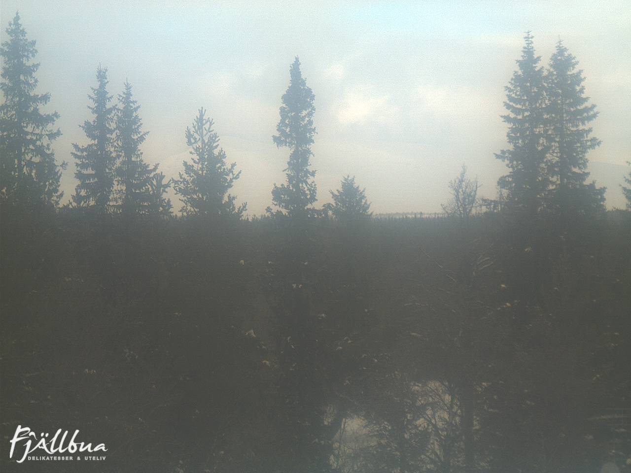 Fjällbua webcam 2025-02-05 12:00