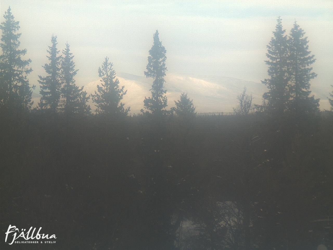 Fjällbua webcam 2025-02-05 13:30