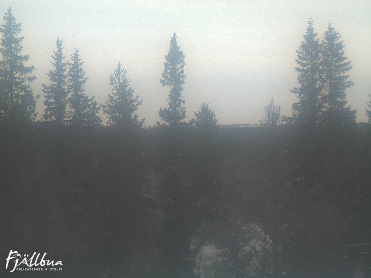 Fjällbua webcam 2025-02-06 10:00