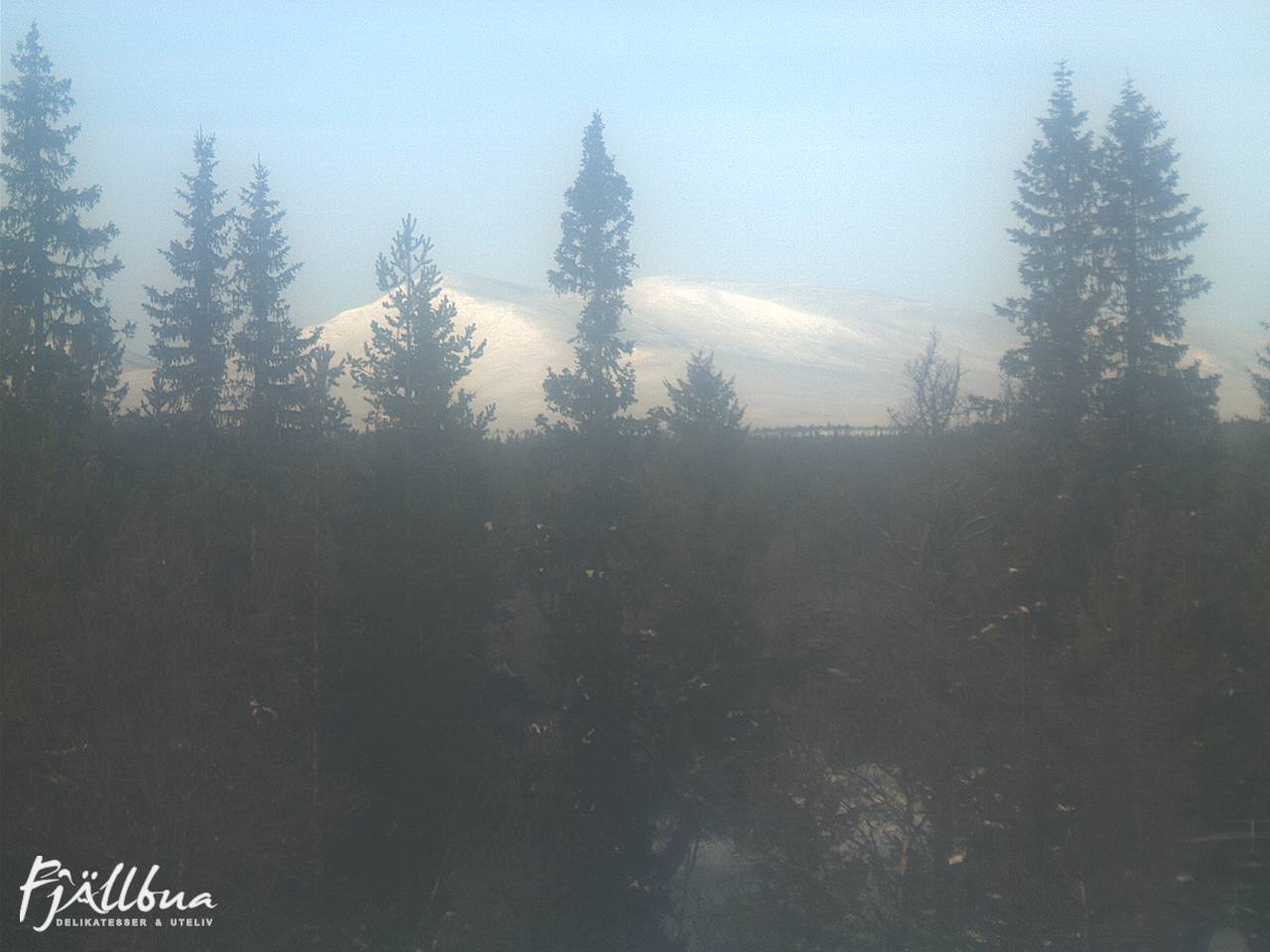 Fjällbua webcam 2025-02-06 12:30