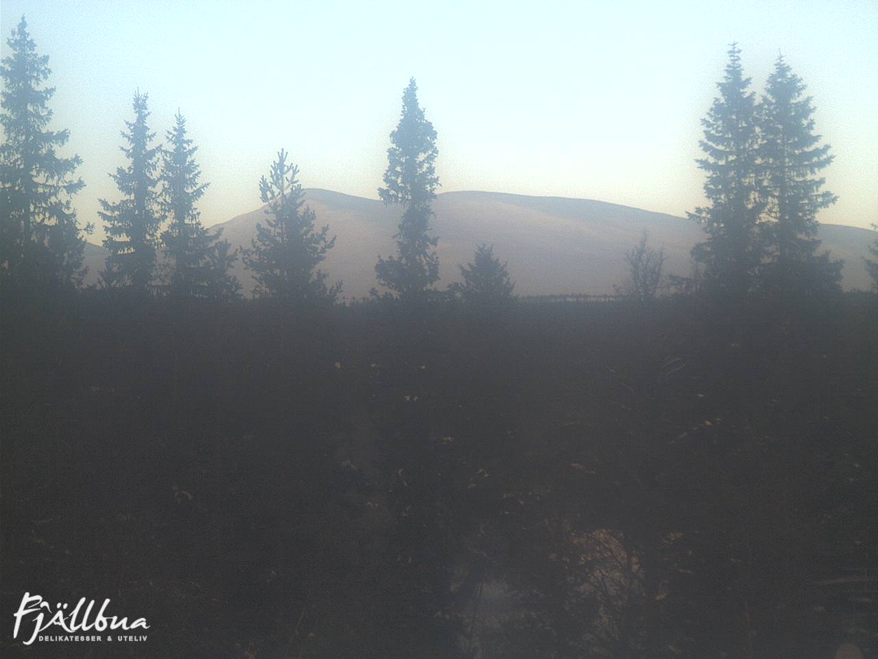 Fjällbua webcam 2025-02-07 11:00