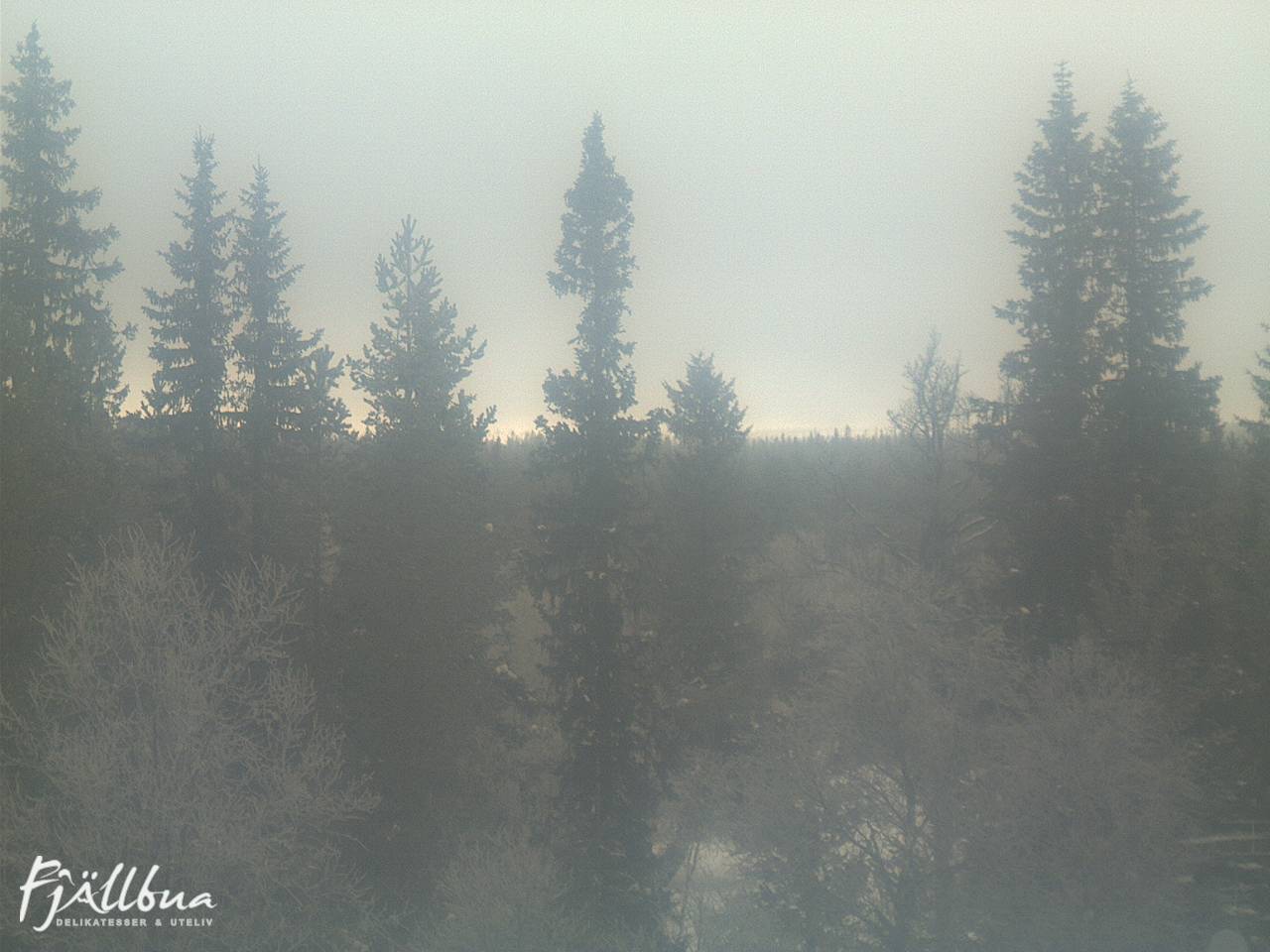 Fjällbua webcam 2025-02-08 10:30