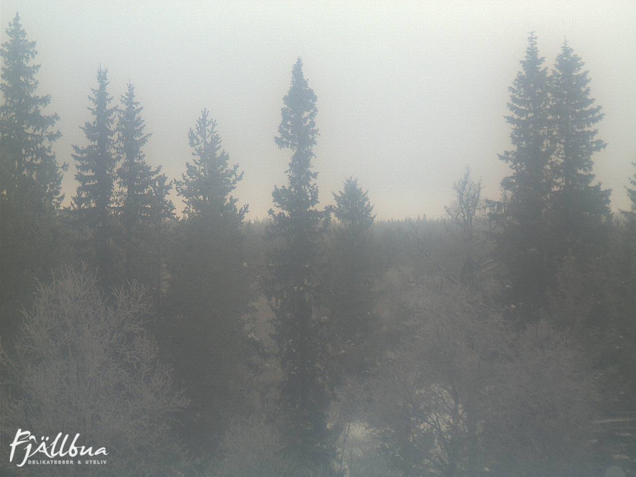 Fjällbua webcam 2025-02-08 11:30