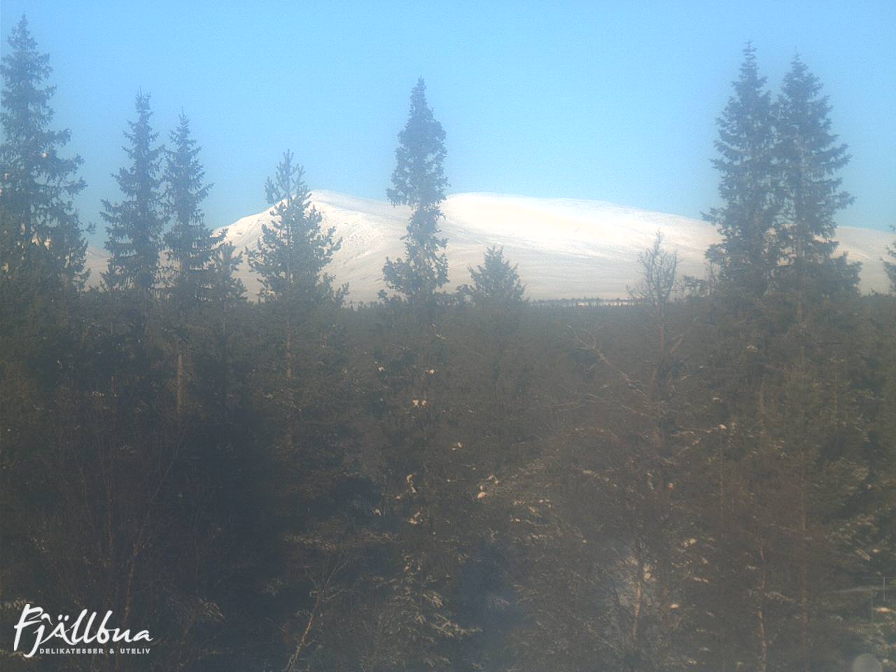 Fjällbua webcam 2025-02-11 10:30