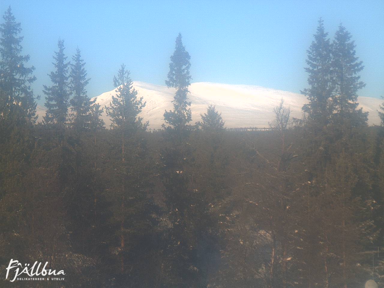 Fjällbua webcam 2025-02-11 11:00