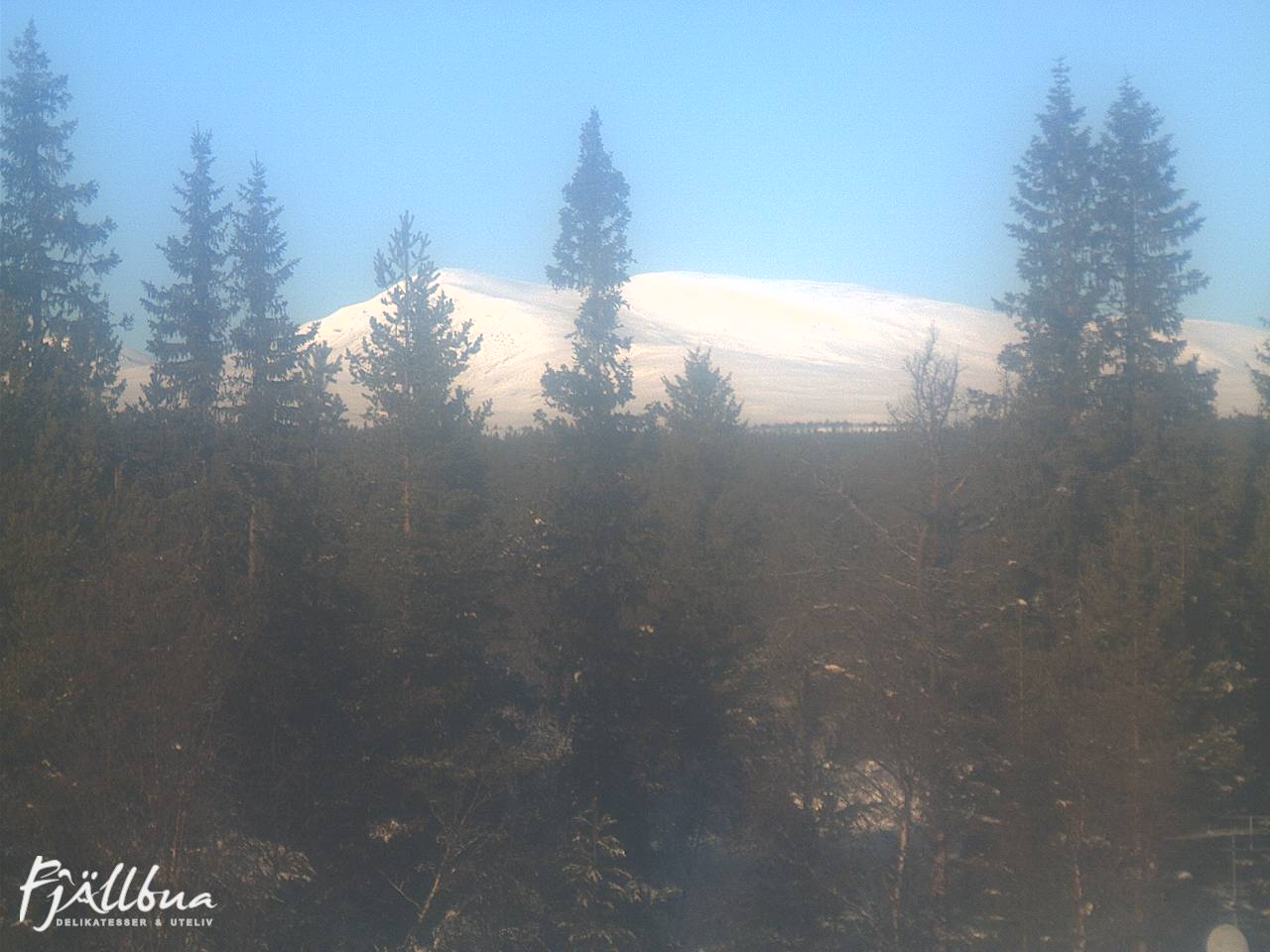 Fjällbua webcam 2025-02-11 11:30