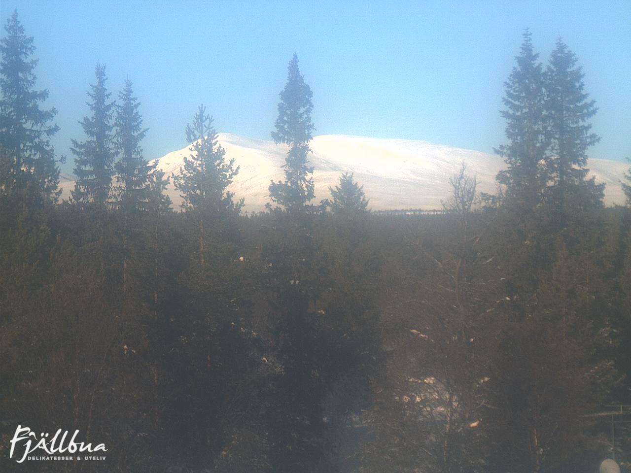 Fjällbua webcam 2025-02-11 12:00