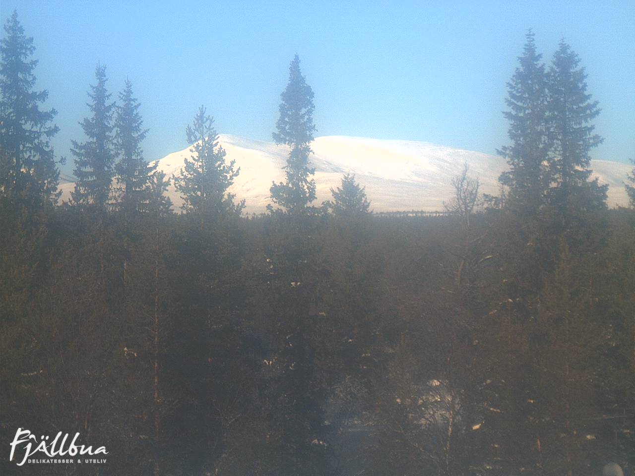 Fjällbua webcam 2025-02-11 12:30