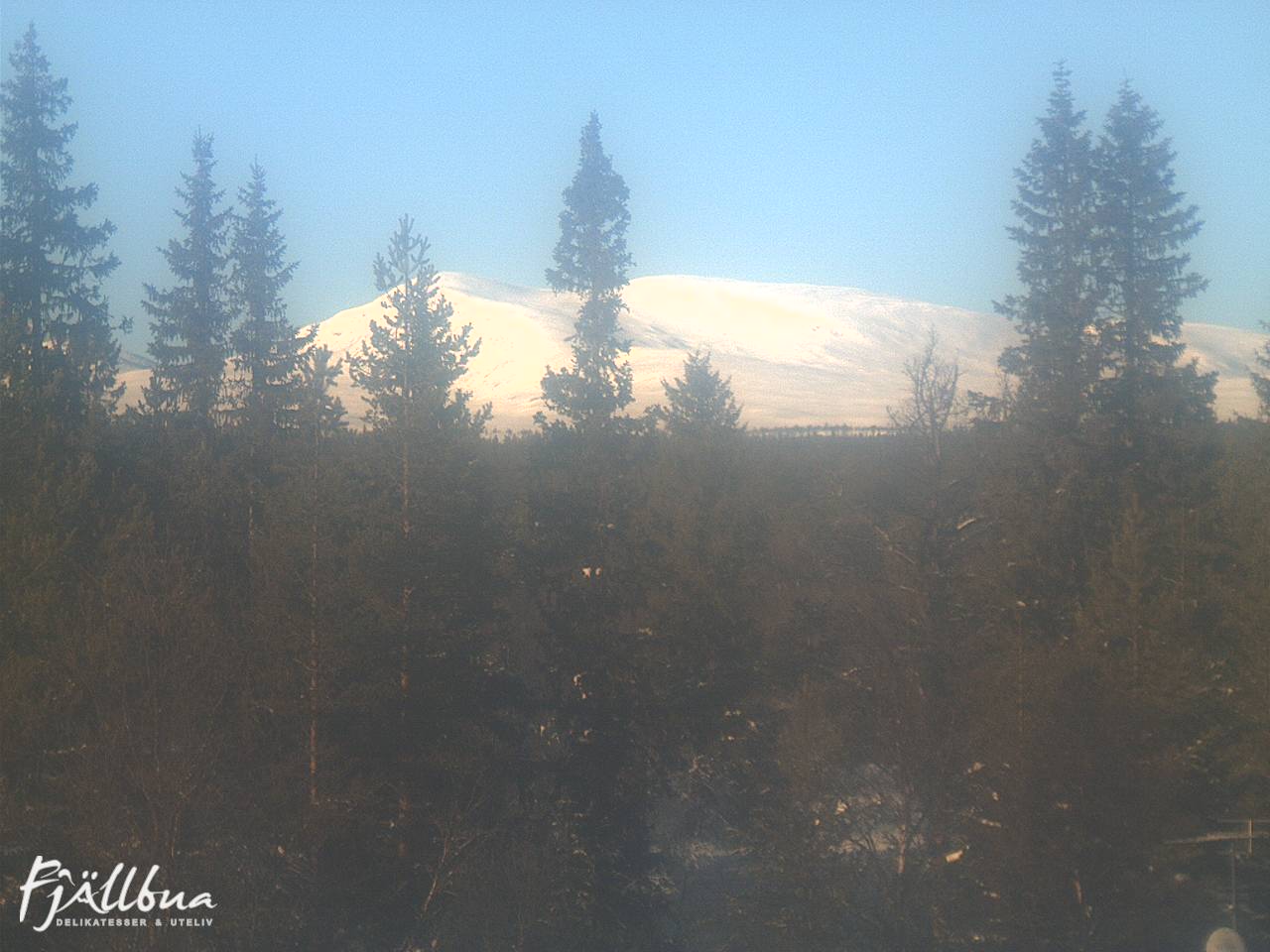 Fjällbua webcam 2025-02-11 13:00