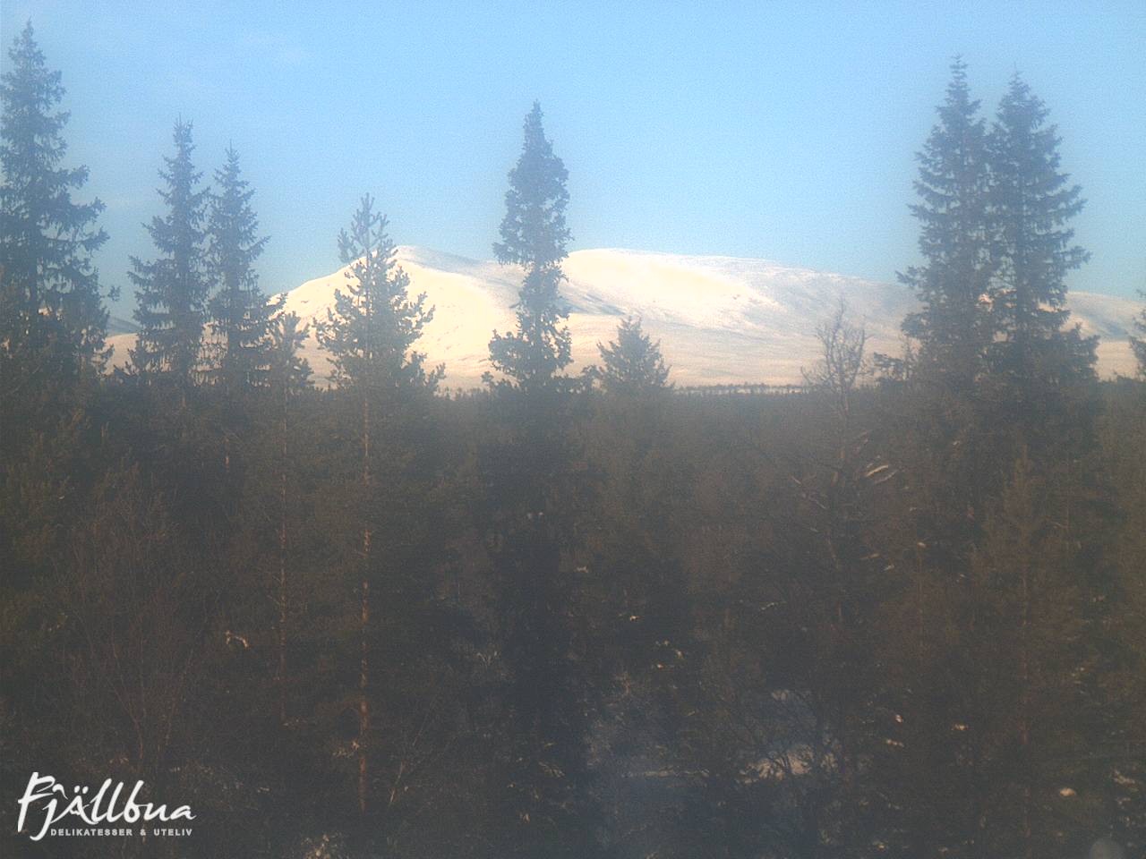 Fjällbua webcam 2025-02-11 13:30