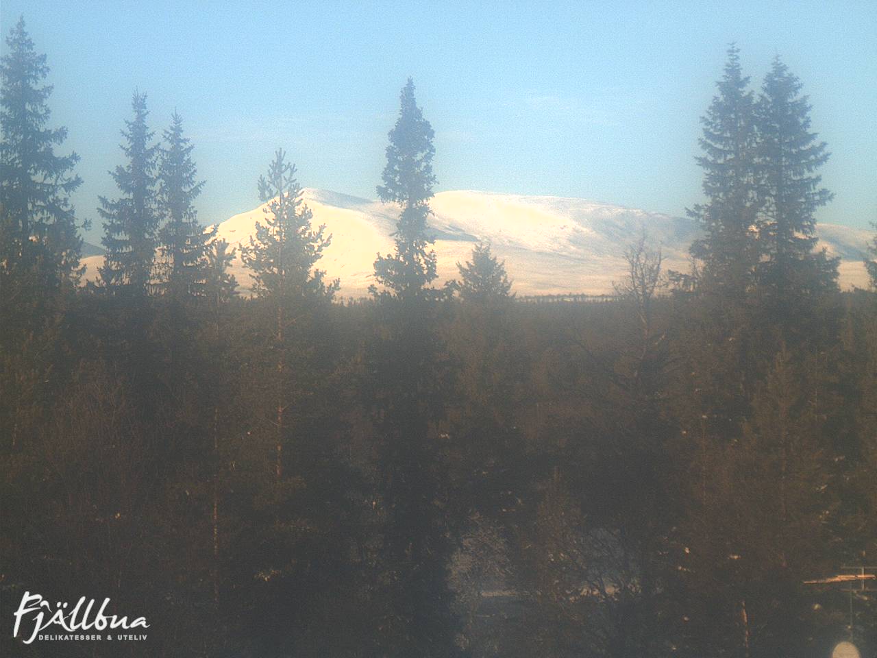 Fjällbua webcam 2025-02-11 14:00