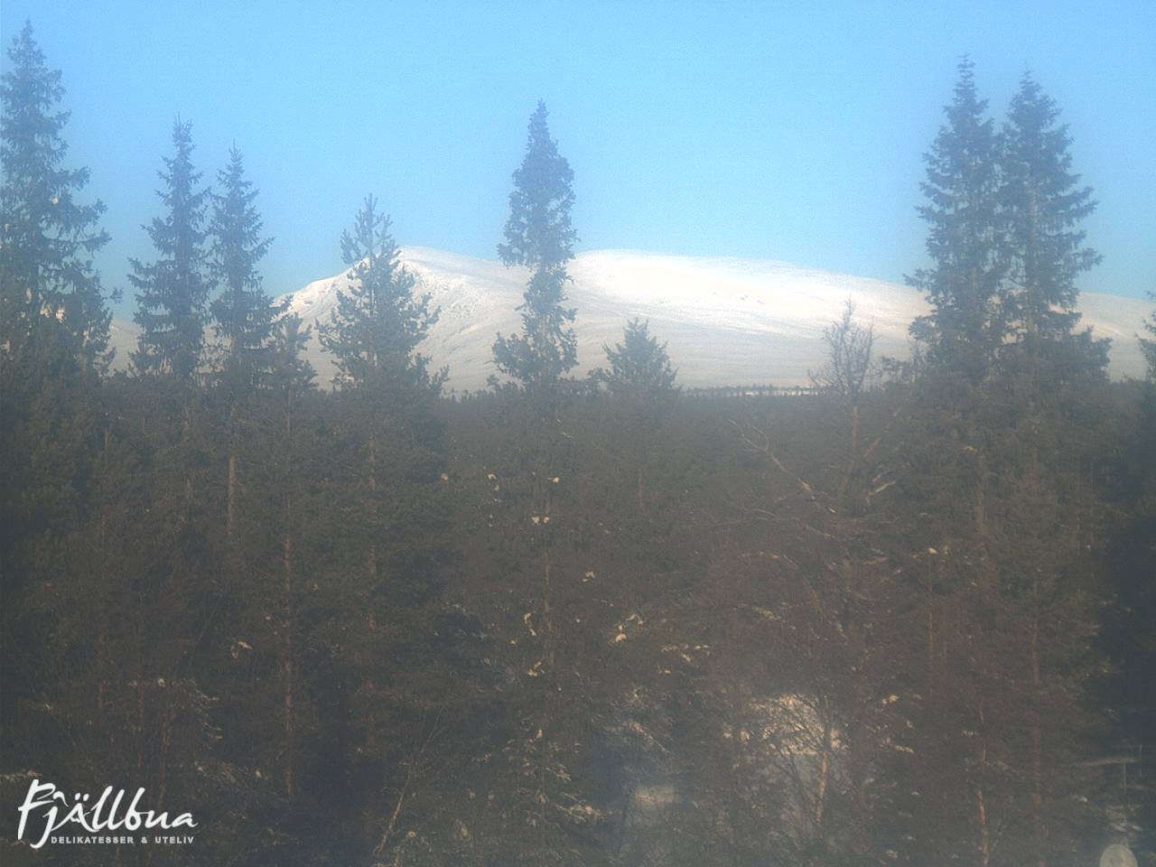 Fjällbua webcam 2025-02-12 10:00