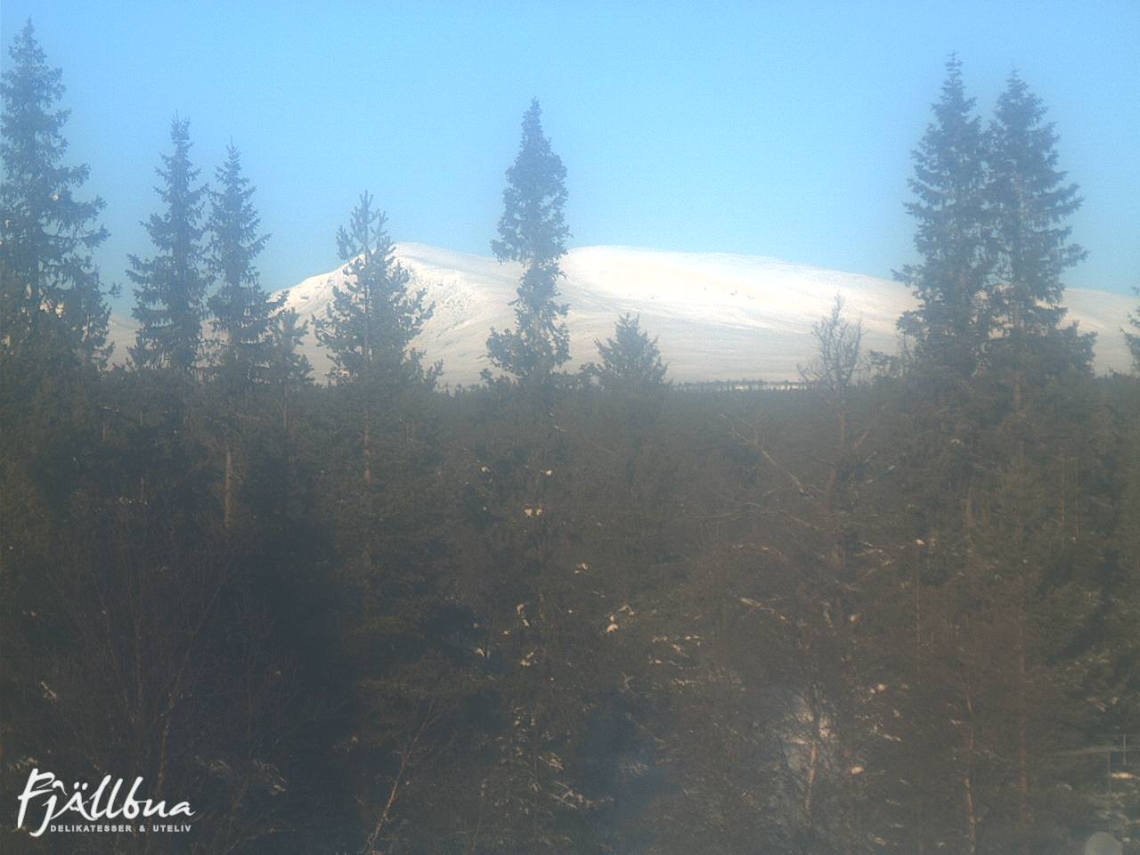 Fjällbua webcam 2025-02-12 10:30