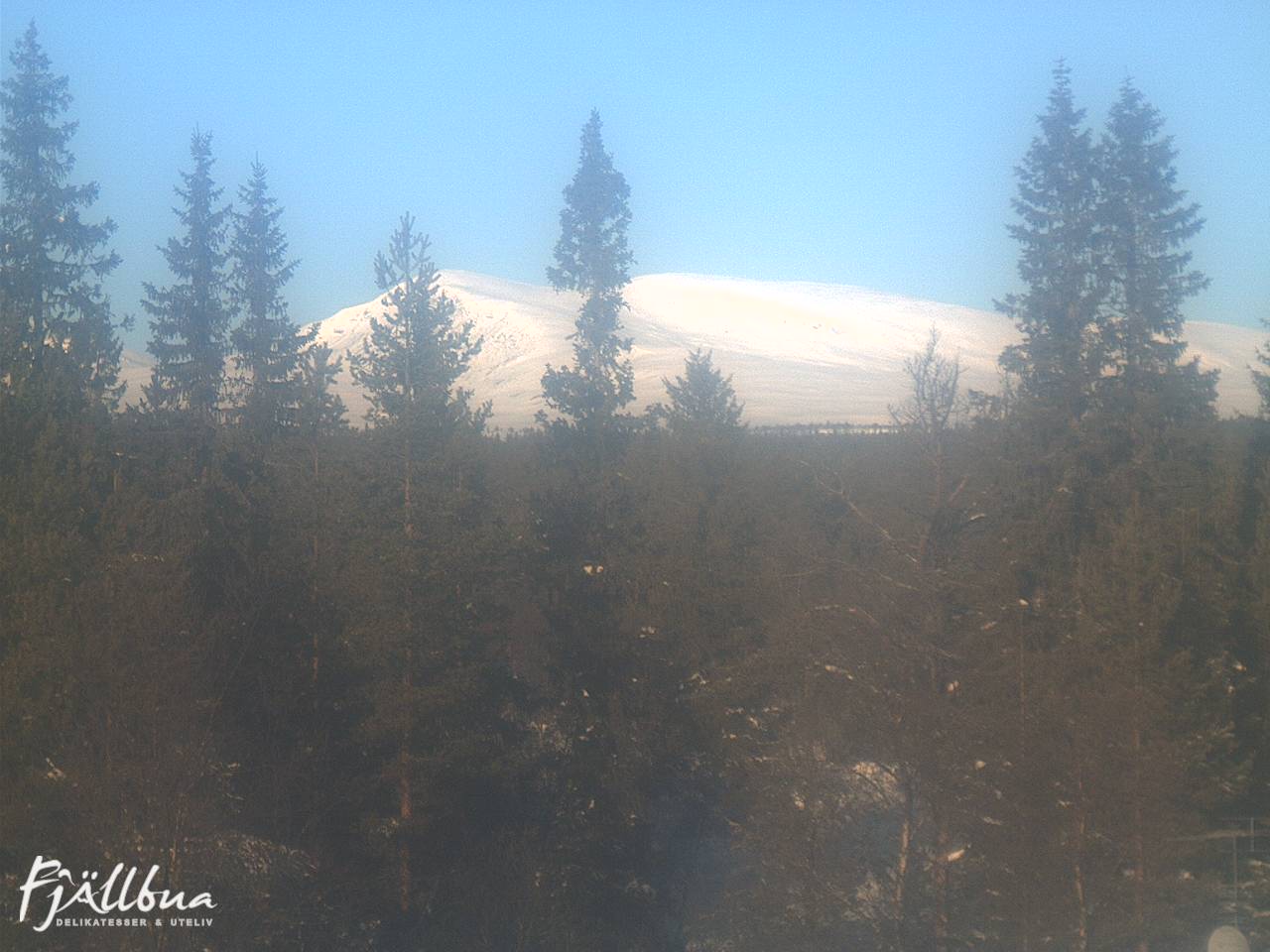 Fjällbua webcam 2025-02-12 11:00