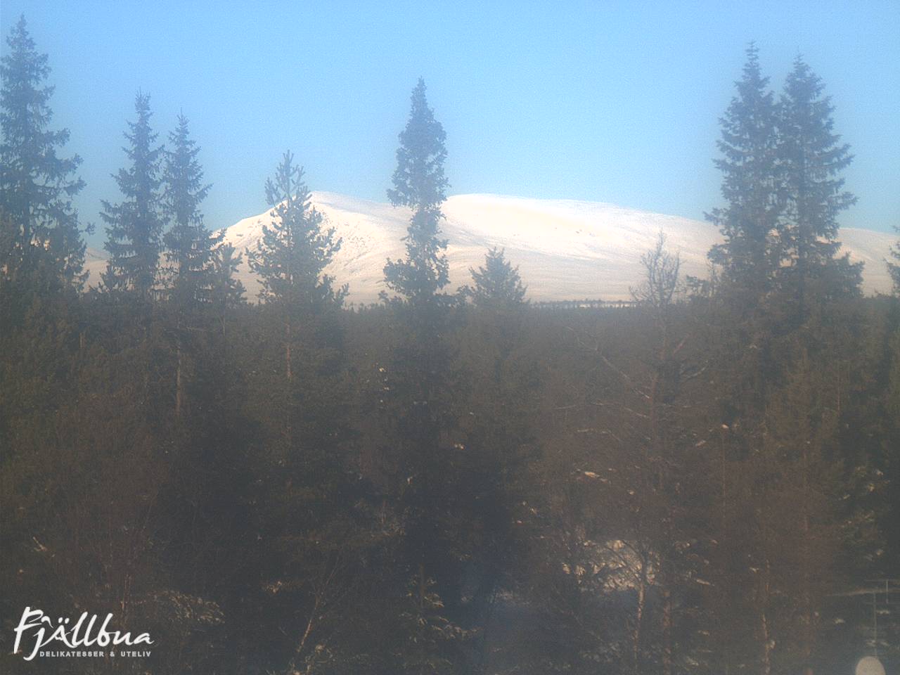 Fjällbua webcam 2025-02-12 11:30