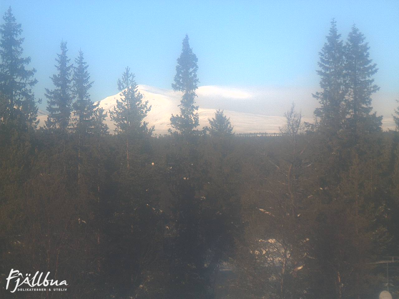 Fjällbua webcam 2025-02-12 12:00