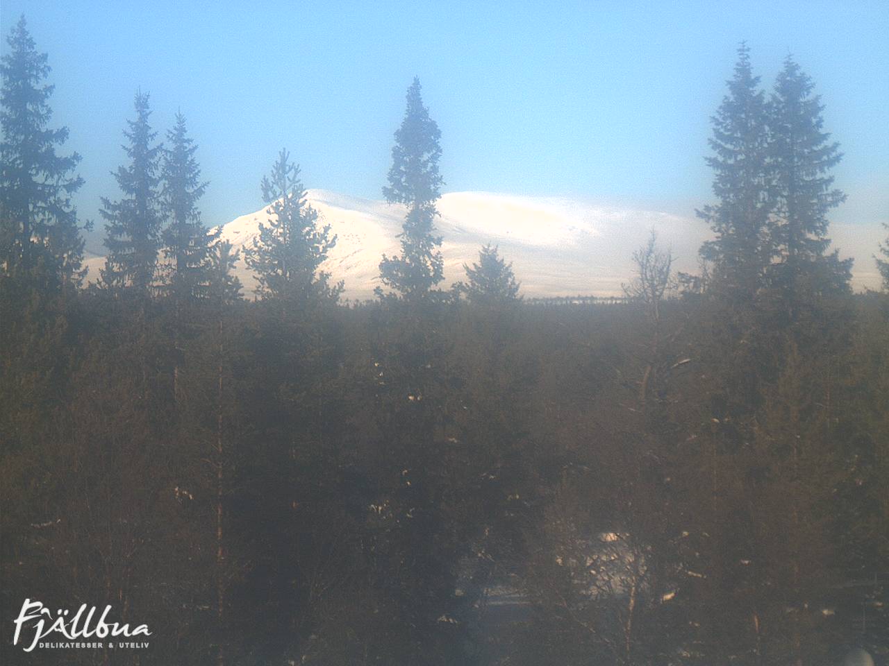 Fjällbua webcam 2025-02-12 12:30