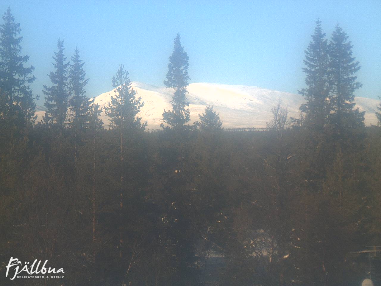 Fjällbua webcam 2025-02-12 13:00