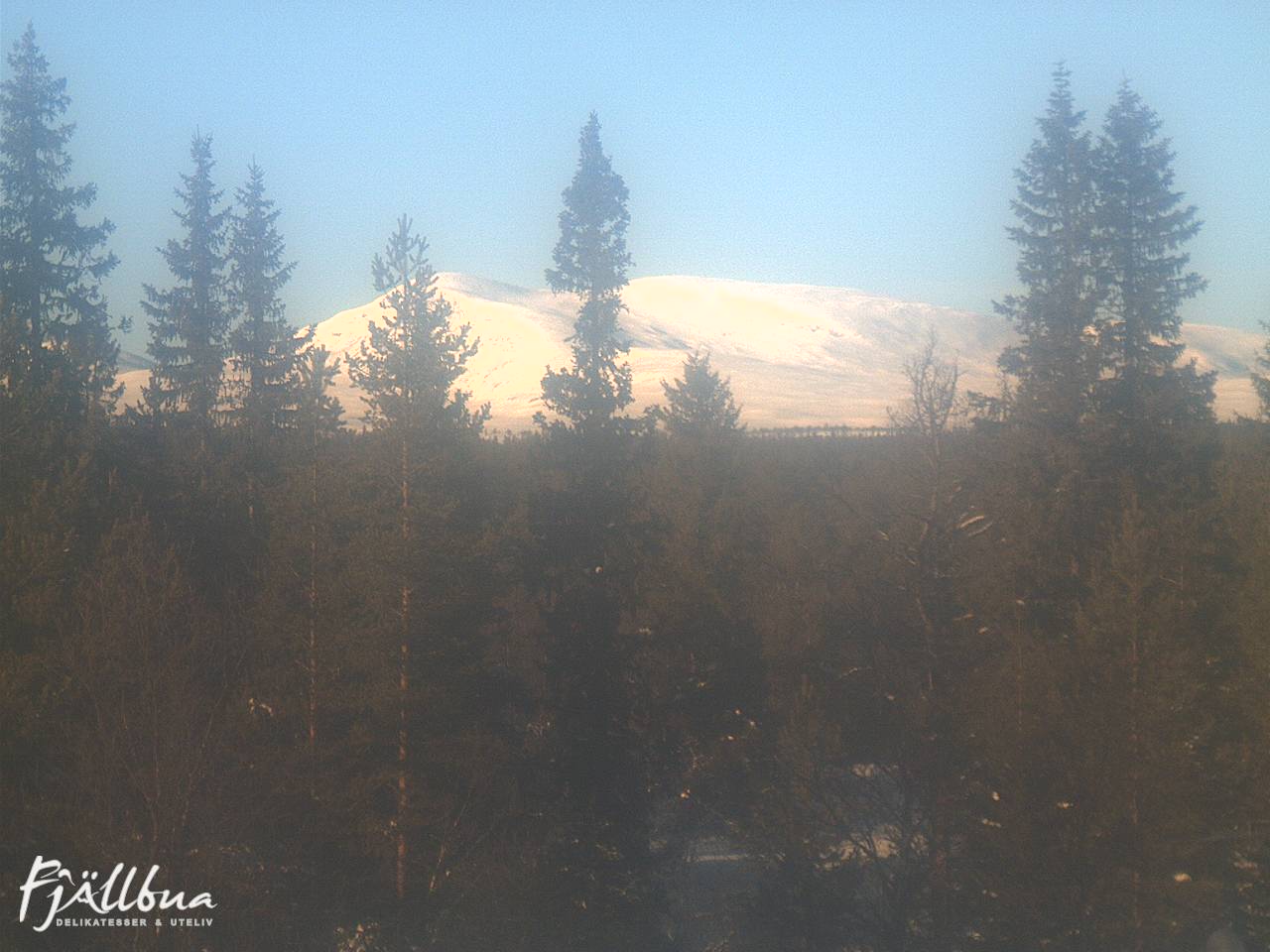 Fjällbua webcam 2025-02-12 13:30