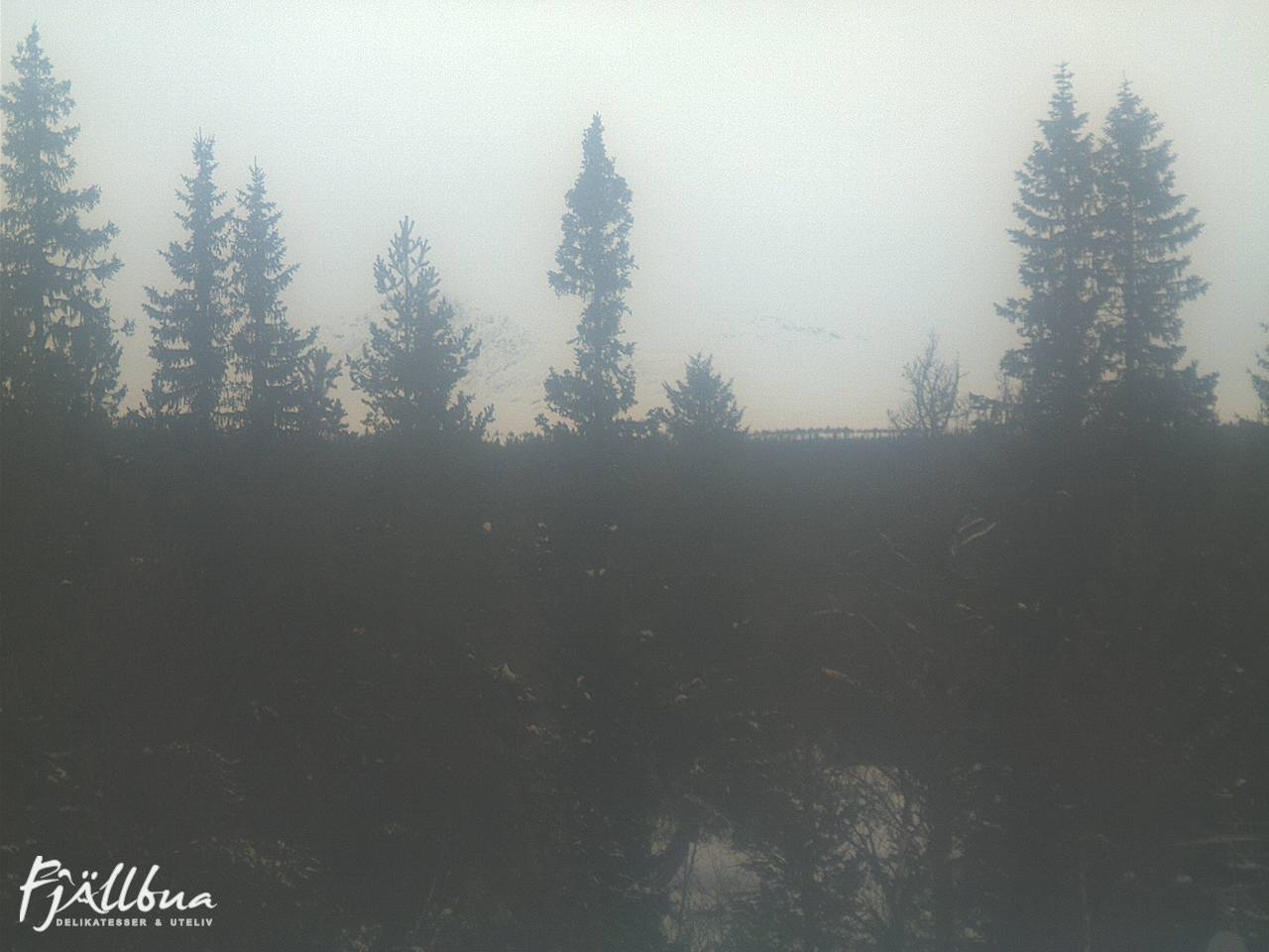 Fjällbua webcam 2025-02-13 11:30