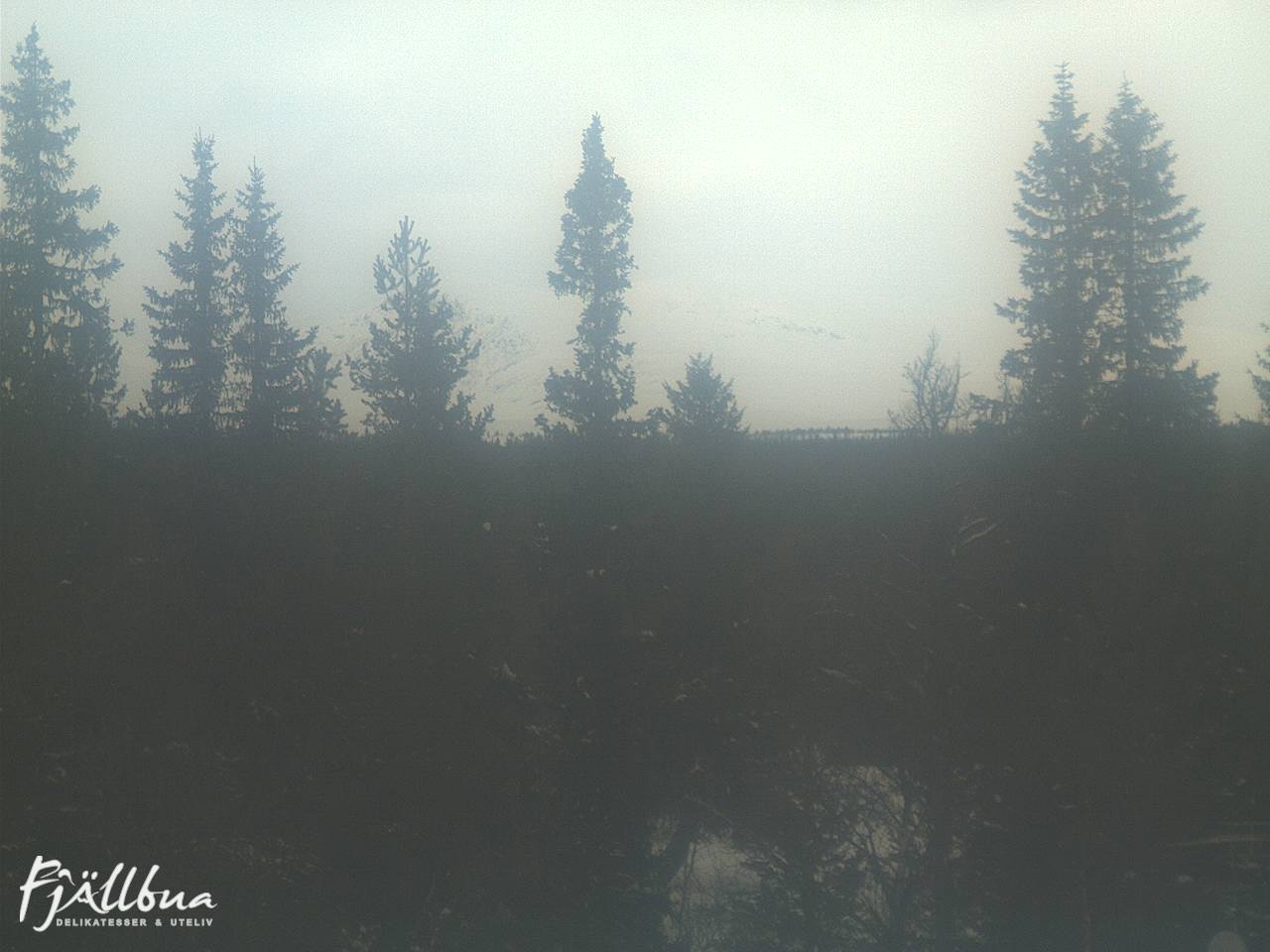 Fjällbua webcam 2025-02-13 13:30