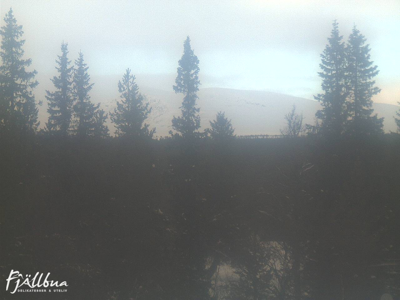 Fjällbua webcam 2025-02-13 14:30