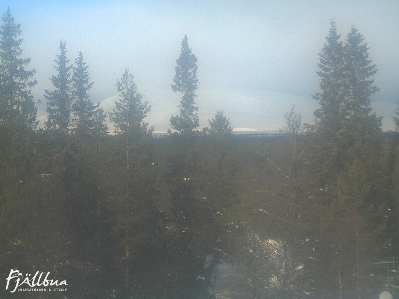 Fjällbua webcam 2025-02-15 11:00