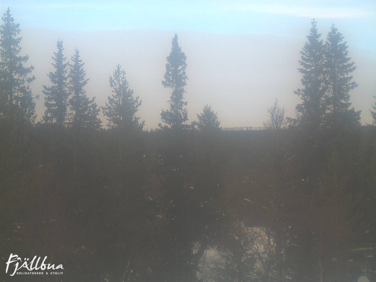 Fjällbua webcam 2025-02-16 11:30