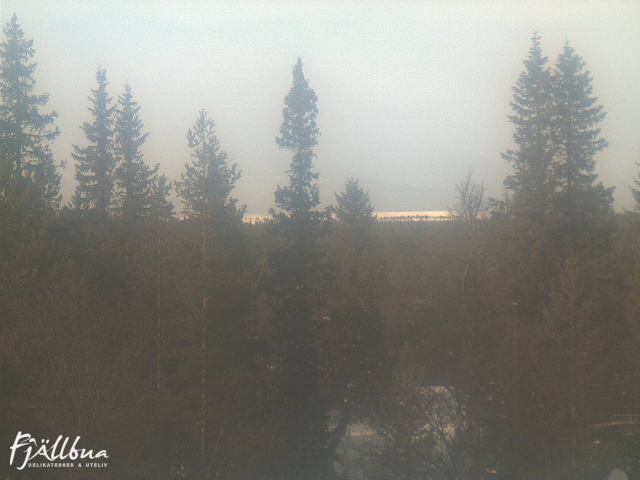 Fjällbua webcam 2025-02-17 13:30