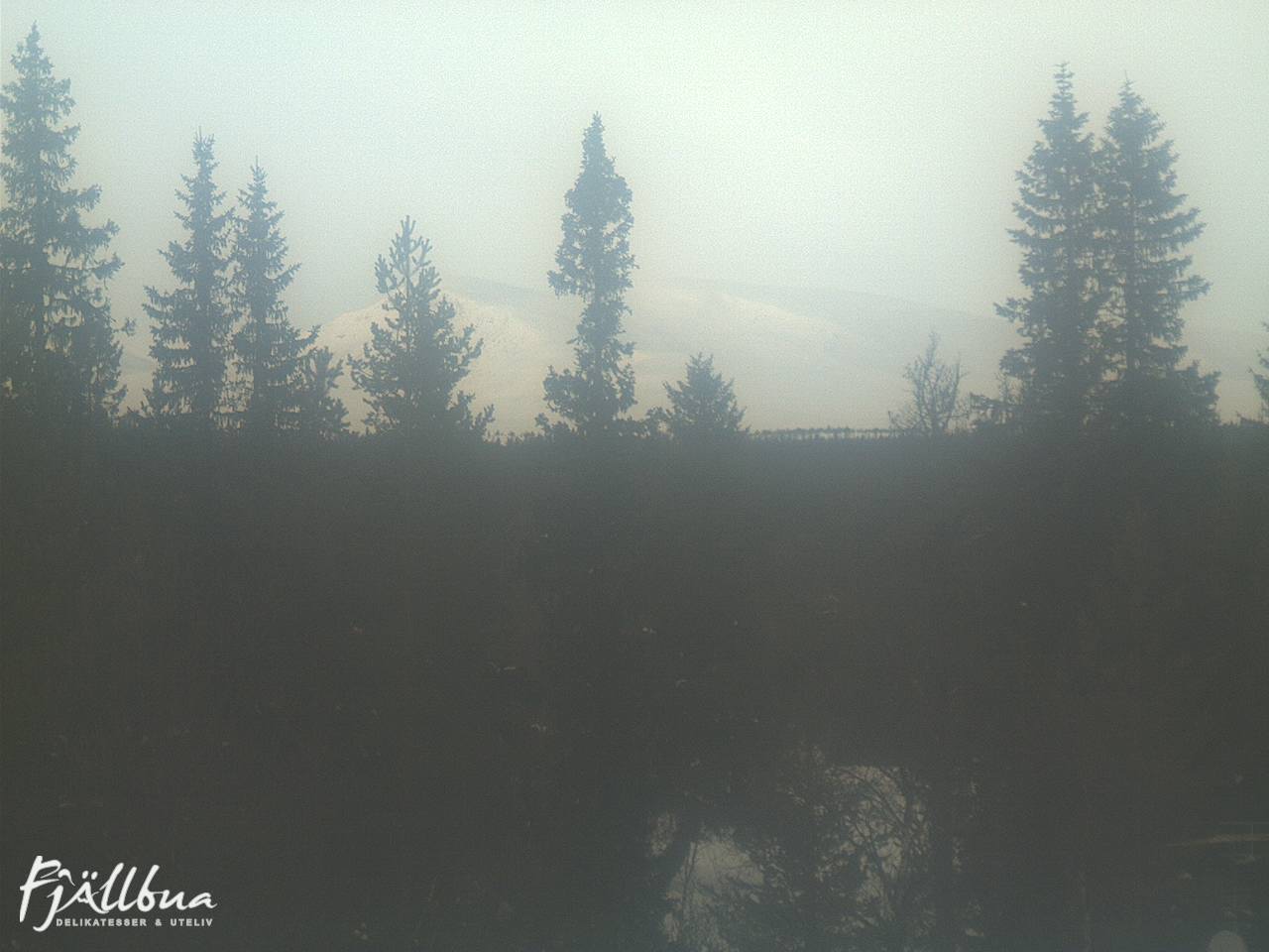 Fjällbua webcam 2025-02-19 14:00