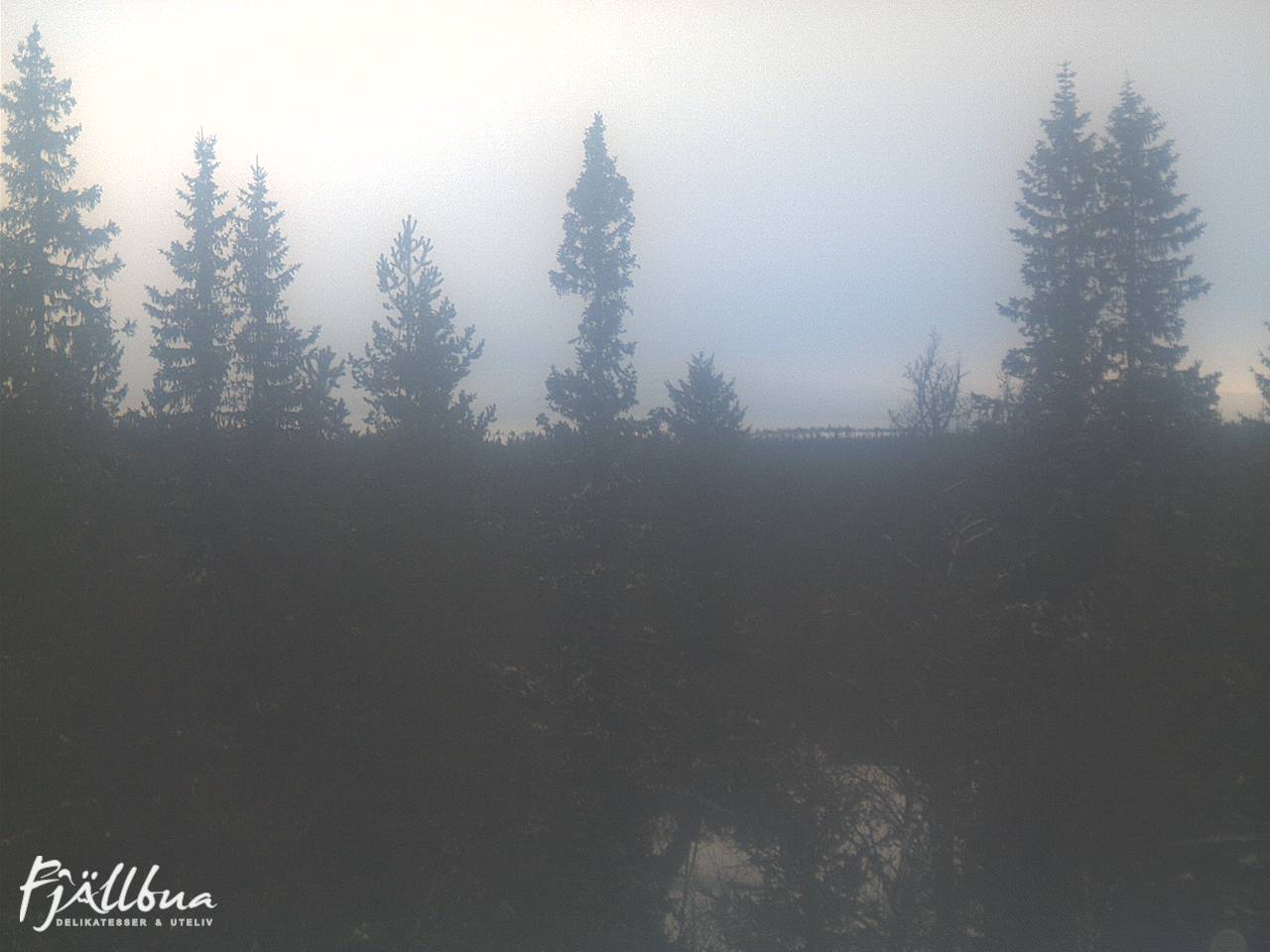 Fjällbua webcam 2025-02-21 11:30