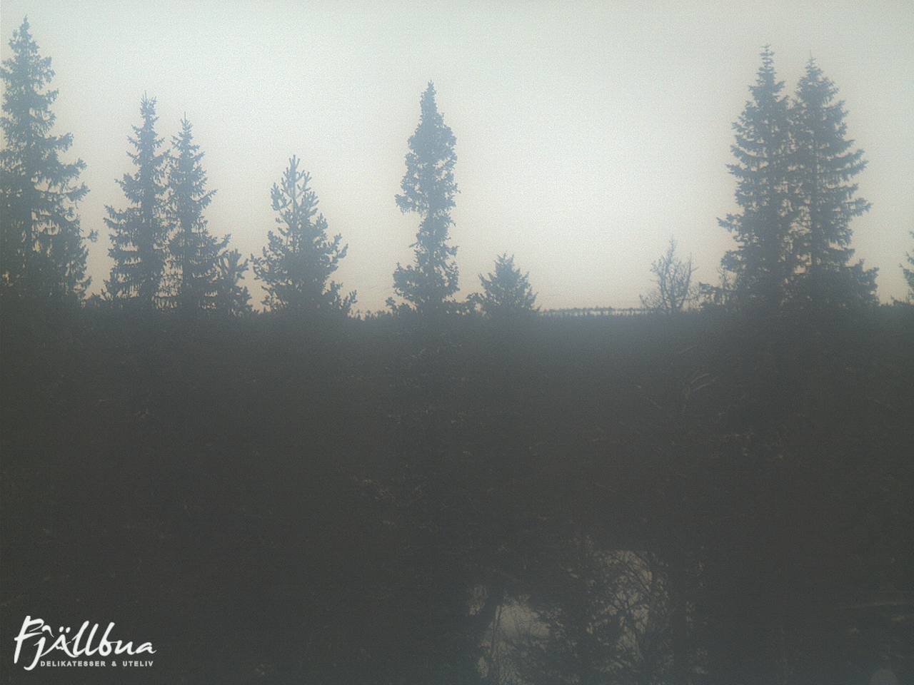 Fjällbua webcam 2025-02-21 13:30