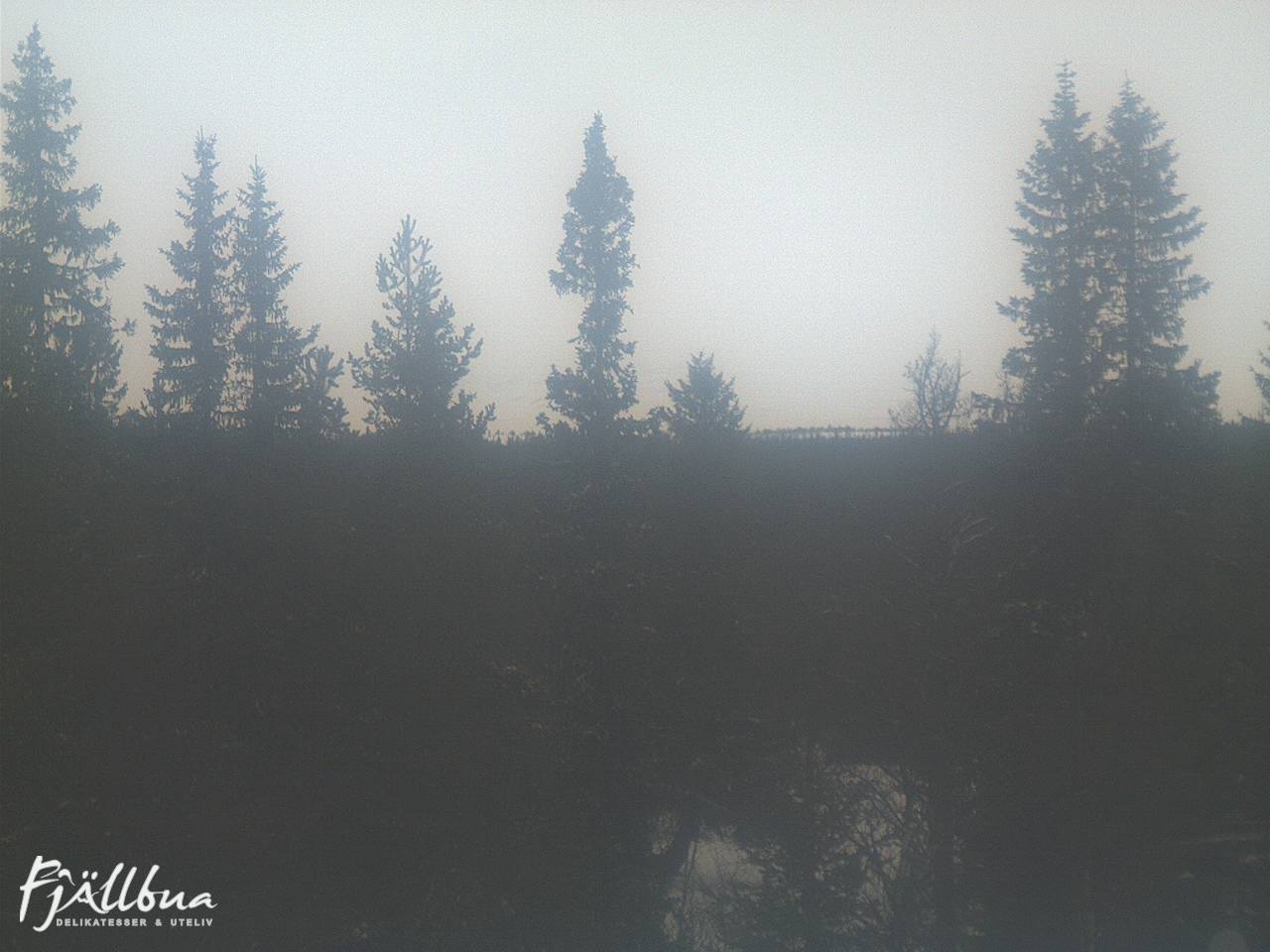 Fjällbua webcam 2025-02-21 14:00