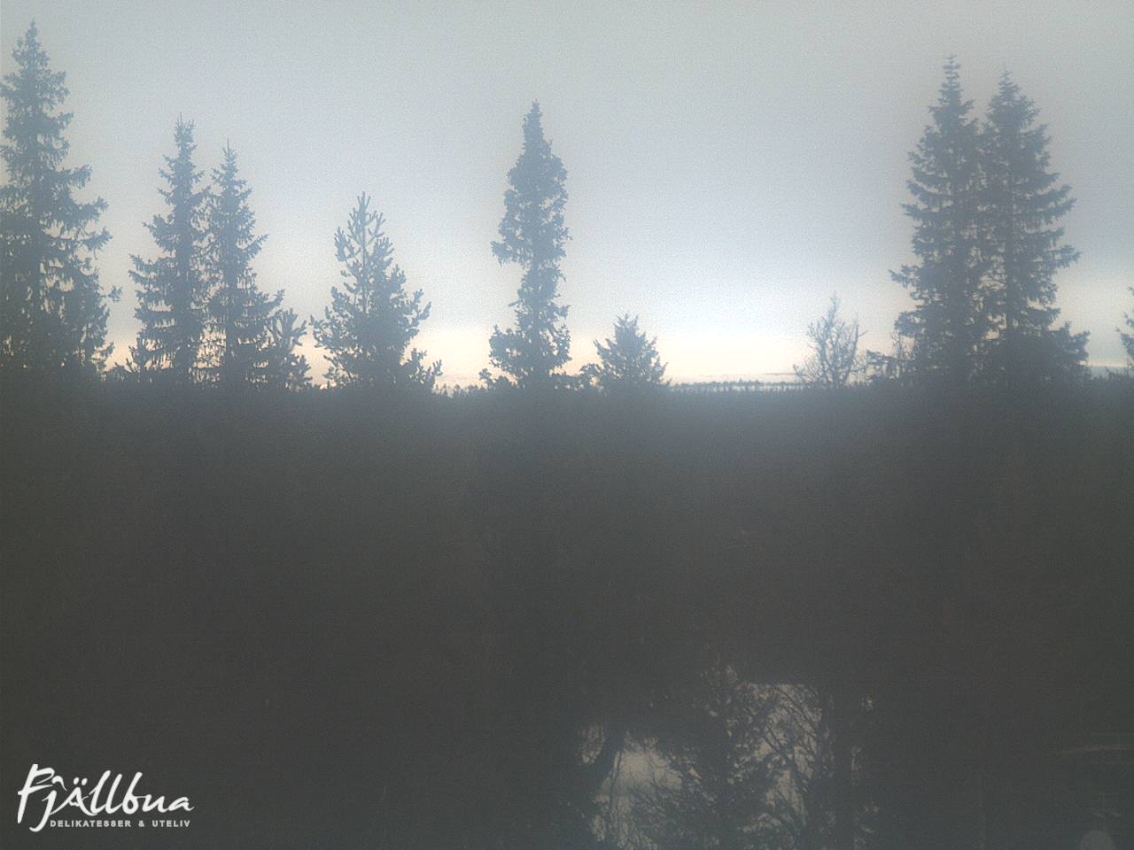 Fjällbua webcam 2025-02-23 11:30