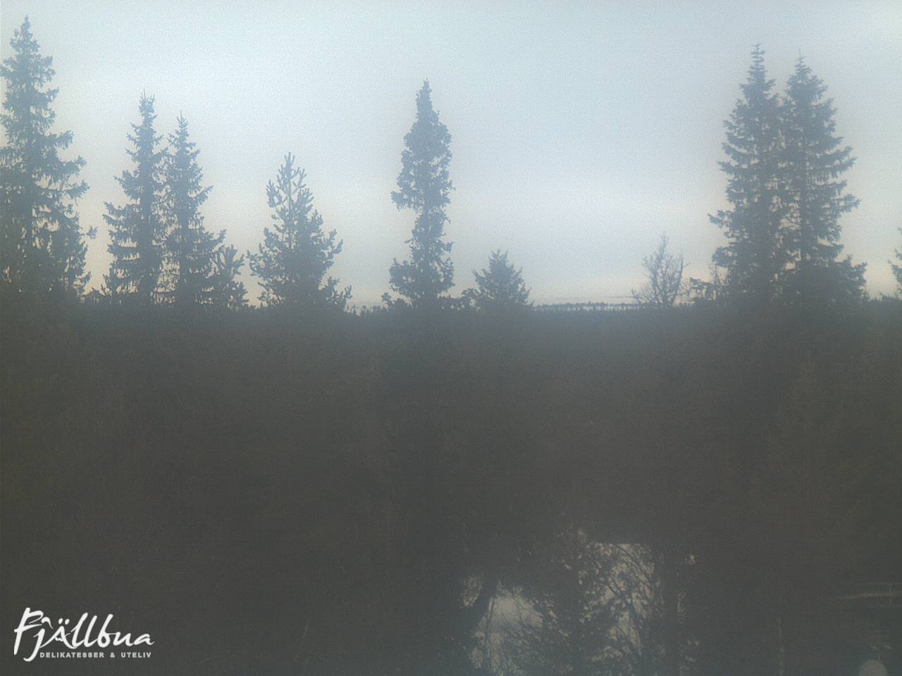 Fjällbua webcam 2025-02-23 13:30