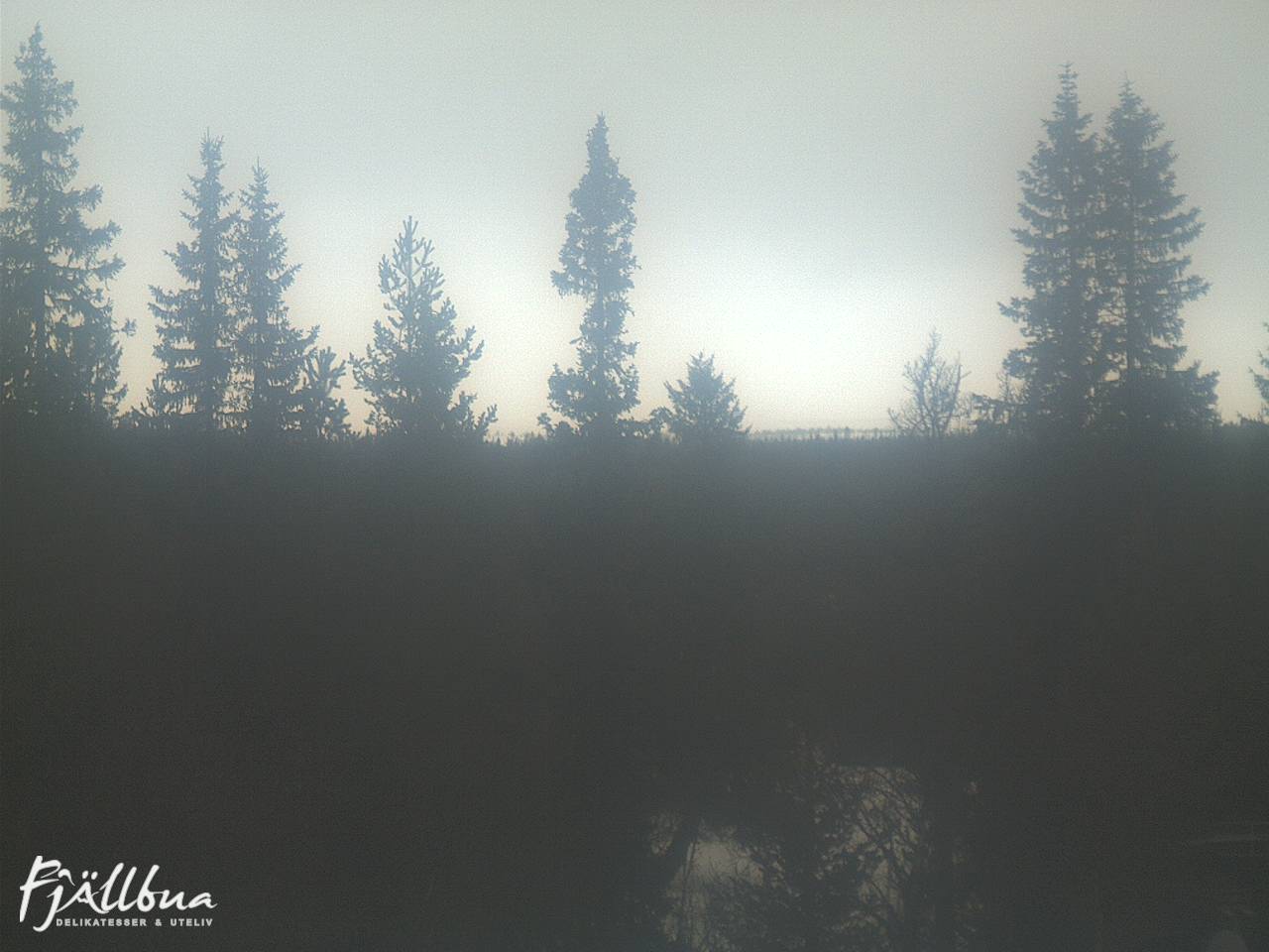 Fjällbua webcam 2025-02-24 11:30