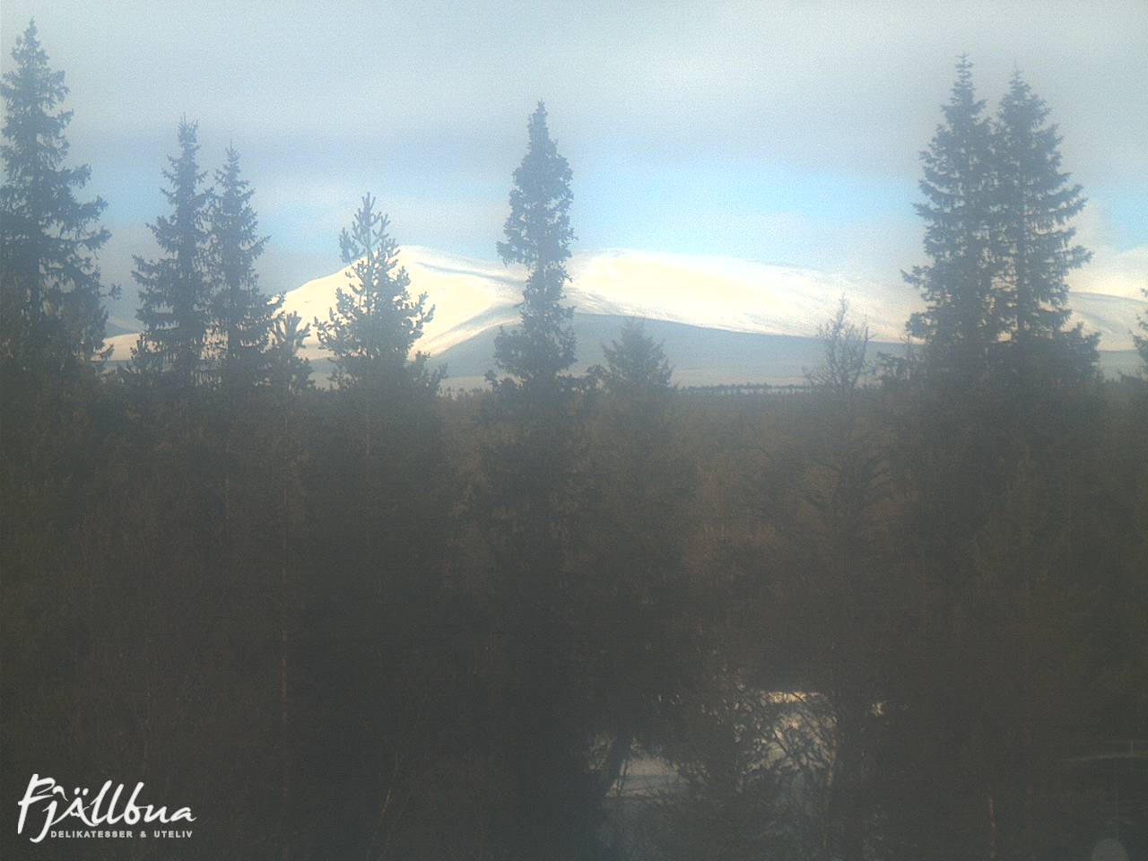 Fjällbua webcam 2025-02-25 12:30