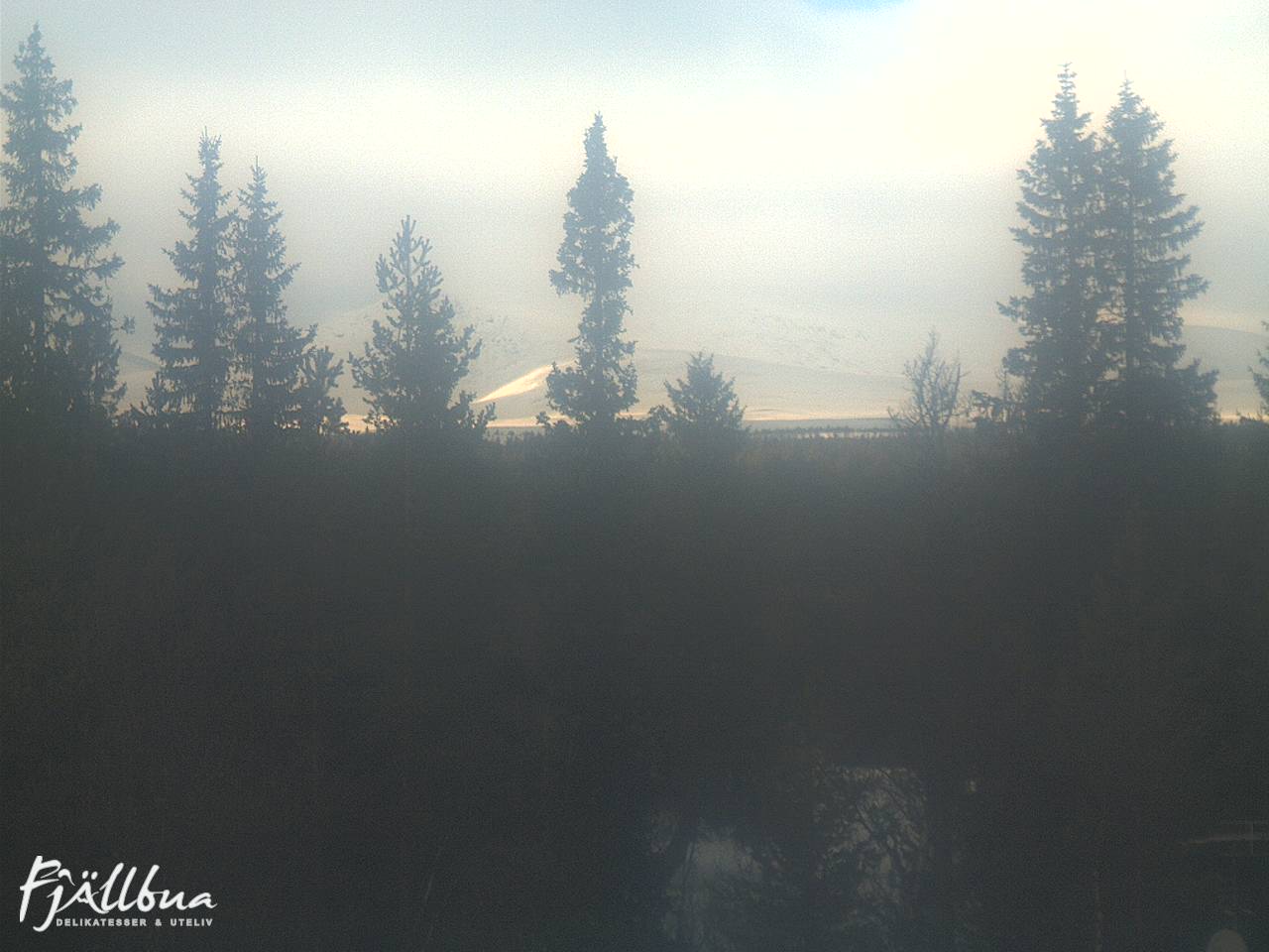 Fjällbua webcam 2025-02-25 13:00